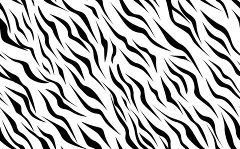 Abstract modern zebra seamless pattern. Animals trendy background. White and Stock Illustration