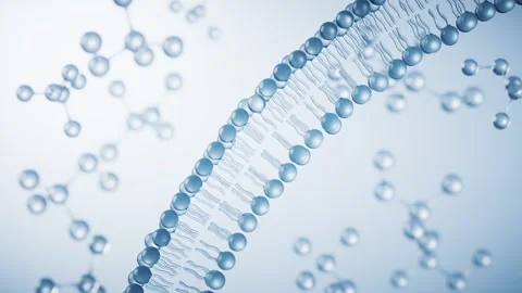 Abstract molecular structure of lipid bilayer cell membrane with flowing bl.. 스톡 동영상 327345130