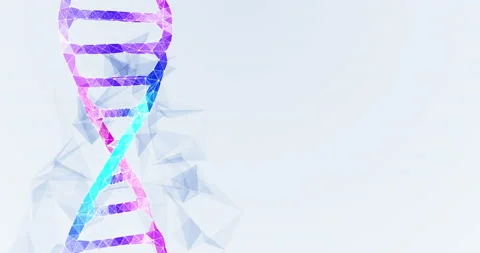 Abstract molecule dna background animation loop Stock Footage 151473510