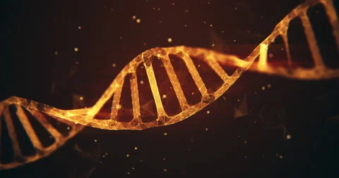 Abstract molecule dna background animation loop Stock Footage 151478262