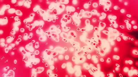 Abstract molecules 스톡 동영상 152036506