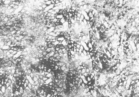 Abstract monochrome background. Stock Photos