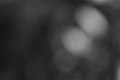 Abstract Monochrome Bokeh Effect Background for Creative Design Stock Photos