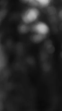 Abstract Monochrome Dappled Light Texture with Soft Bokeh Element Stock Photos