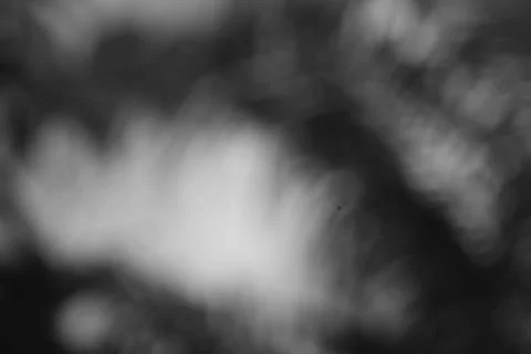 Abstract Monochrome Dreamscape Exploring Shadow and Light Dynamics with Ser.. Stock Photos