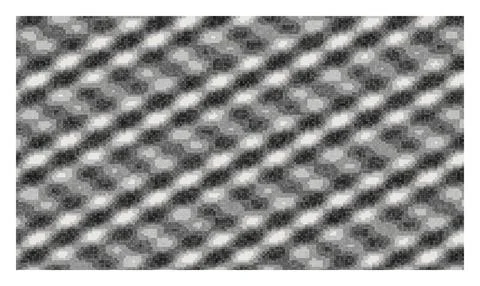 Abstract monochrome geometric pattern with repeating organic shapes and pix.. Stock Illustration