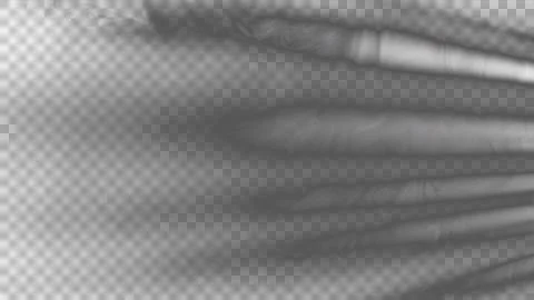 Abstract Monochrome Light Rays Background With Soft Blur 库存插图