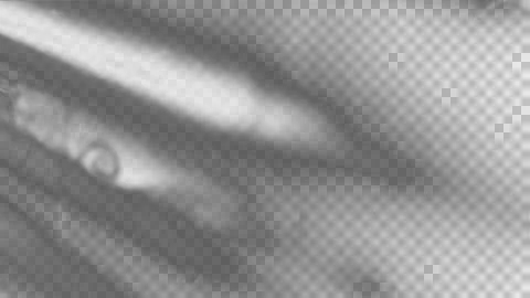 Abstract Monochrome Light Rays Background With Soft Blur Illustrazione stock