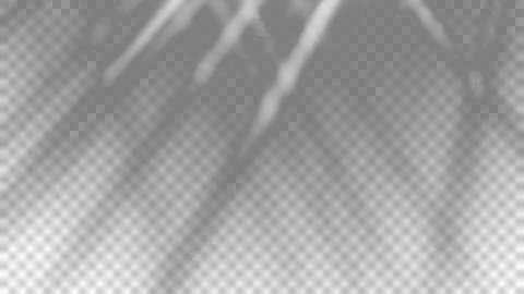 Abstract Monochrome Light Rays Background With Soft Blur Stock Illustration