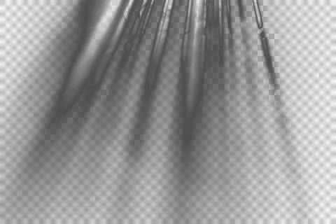 Abstract Monochrome Light Rays Background With Soft Blur Stock Illustration