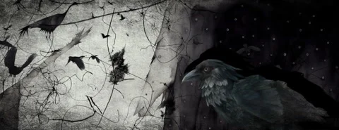 Abstract monochrome raven. Stock Footage 264161072