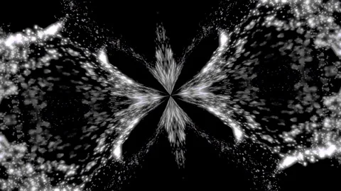 Abstract, monochrome symmetric pattern of feathers on black background, seamless Stock Footage 101818135