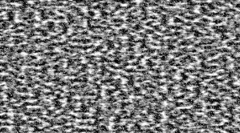 Abstract monochrome wave pattern, Black and white static distortion texture,  Stock Photos