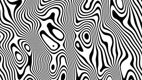Abstract Monochrome Wavy Lines: Hypnotic BW 4K Looping Animation with Distortion Stock Footage 308669616