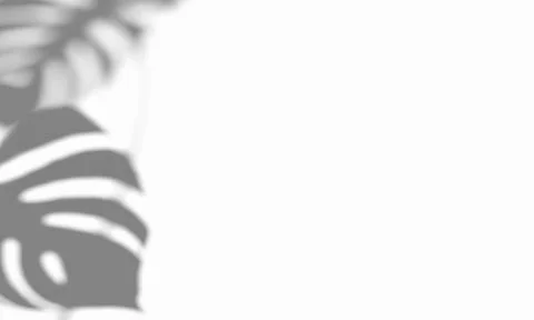 Abstract monstera corner shadow on wind background Stockillustratie