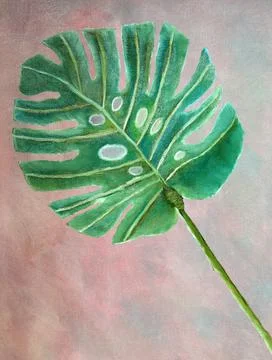 Abstract monstera leaf hand drawn with oil paints on pink gray background on Stock Illustration