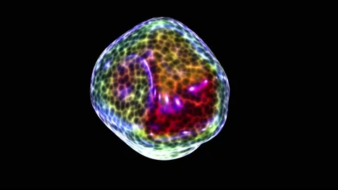 Abstract morphing alien life form looping 3D animation with alpha Stock Footage 155069156