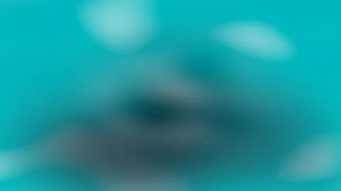Abstract morphing gradient animated background with sleek tech colors Stock Footage 330992141