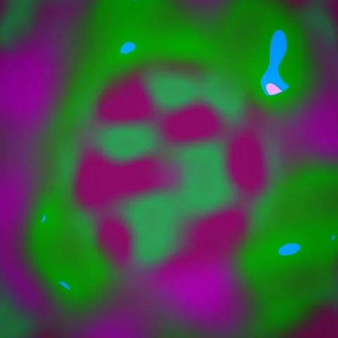 Abstract morphing gradient animated background with forest deep colors Stock Footage 331078918