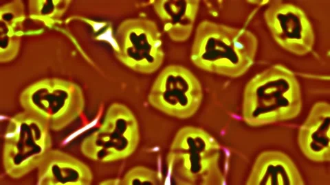 Abstract motion animated cells structure with liquid background. Stock-Footage 196489909