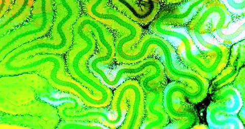 Abstract Motion Background 4K Stock Footage 196849032