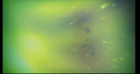 Abstract Motion Background 4K Stock Footage 196873538