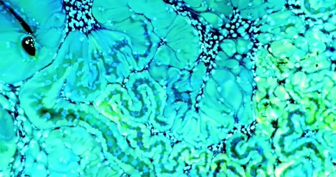 Abstract Motion Background 4K Video stock 213612279