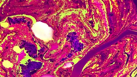 Abstract Motion Background 4K Stock Footage 220330241