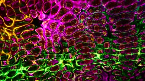 Abstract Motion Background 4K Stock Footage 220907711