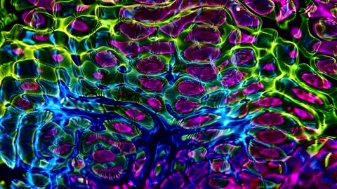 Abstract Motion Background 4K Stock Footage 220907734