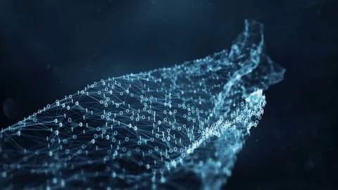 Abstract Motion Background - Digital Binary Plexus Data Networks Stock Footage 82708431