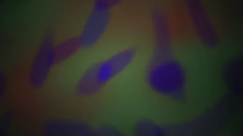 Abstract Motion Background with Floating Purple Organic Shapes on Gradient .. Stock Footage 341799937