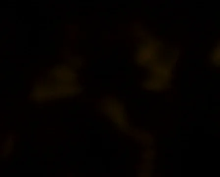 Abstract motion background 動画素材 143844