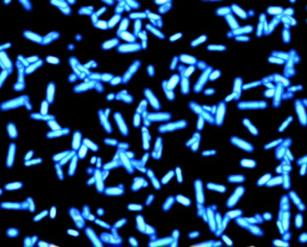 Abstract motion background Stock Footage 143891