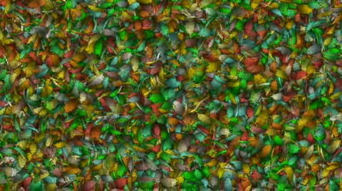 Abstract motion background Stock Footage 144155