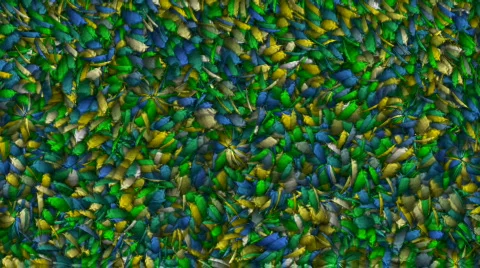 Abstract motion background Stock Footage 144160