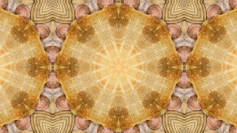 Abstract motion background in the form of a kaleidoscope Stock Footage 323085004