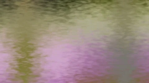 Abstract motion background in gradient pink and blue tones Stock Footage 85299426