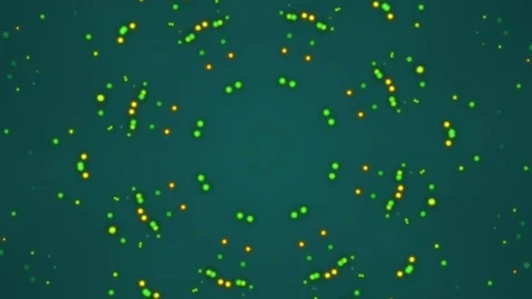 Abstract Motion Background. Kaleidoscope Stock Footage 80448070