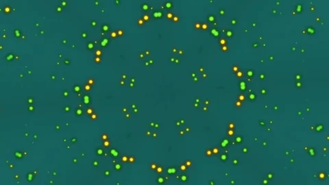 Abstract Motion Background. Kaleidoscope Stock Footage 80448124