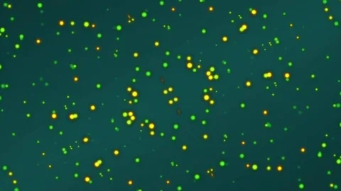 Abstract Motion Background. Kaleidoscope Stock Footage 80448312