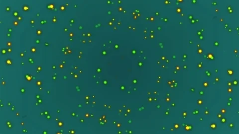 Abstract Motion Background. Kaleidoscope Stock Footage 80448319