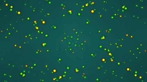 Abstract Motion Background. Kaleidoscope Stock Footage 80448365