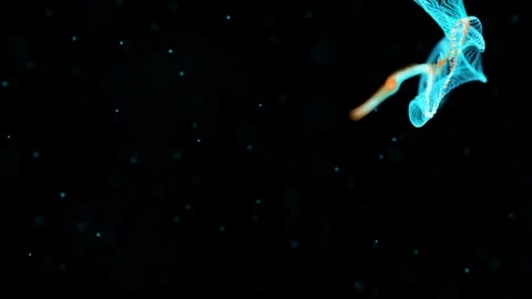 Abstract motion background shining blue particles. Abstract motion background Stock Footage 122078679