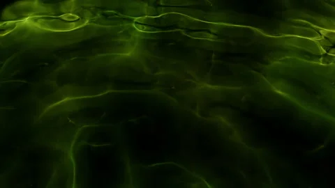 Abstract motion background shining colorful particles Stock Footage 254563007