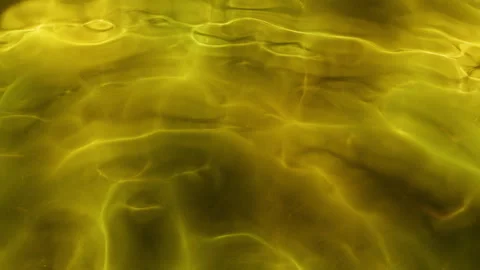 Abstract motion background shining colorful particles Stock Footage 254565711