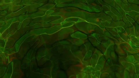 Abstract motion background shining colorful particles Stock Footage 254859974