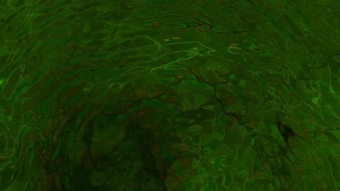 Abstract motion background shining colorful particles Stock Footage 254860834