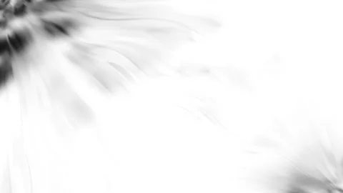 Abstract motion background shining colorful particles Stock Footage 255376579