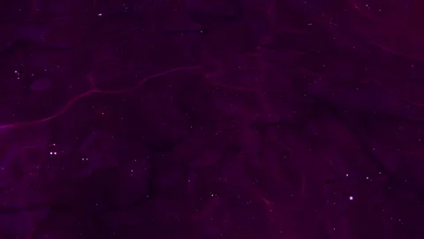 Abstract motion background shining colorful particles. Video stock 256389344